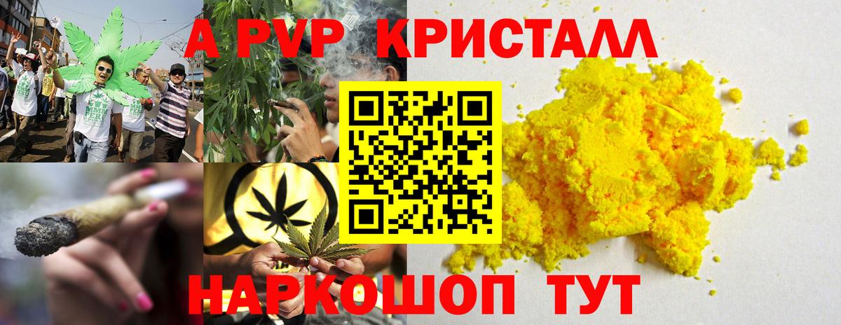 A PVP СК КРИС Губкинский