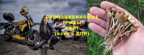 спайс Елизово