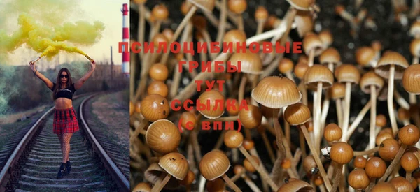 амф Елабуга