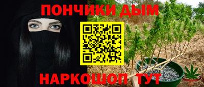 прущие крисы Бийск