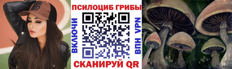 Псилоцибиновые грибы GOLDEN TEACHER  Губкинский 