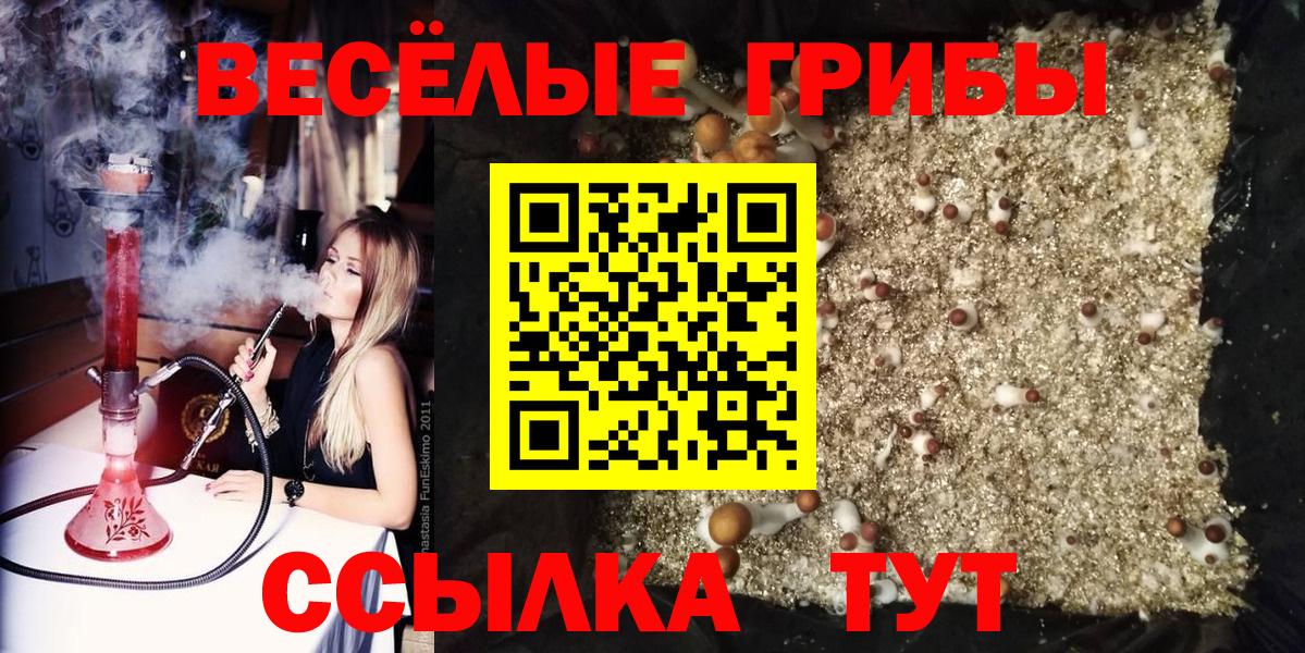 Галлюциногенные грибы Cubensis Губкинский