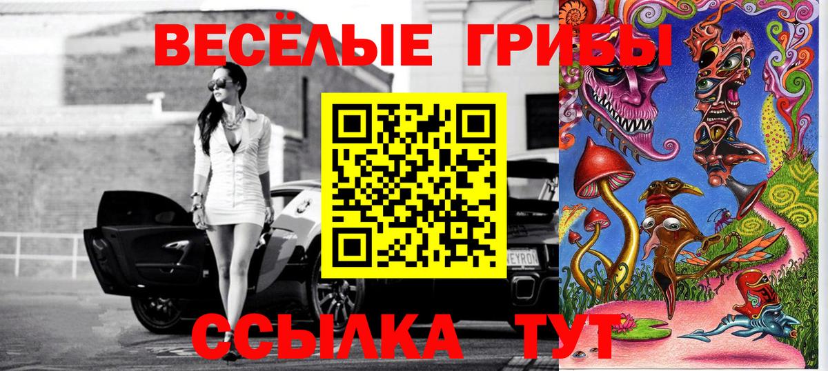 Псилоцибиновые грибы мицелий Губкинский