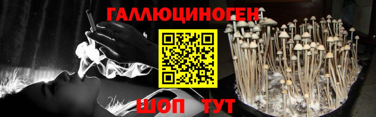 Галлюциногенные грибы Magic Shrooms  хочу   Губкинский  Вход с VPN  Псилоцибиновые грибы ЛСД 