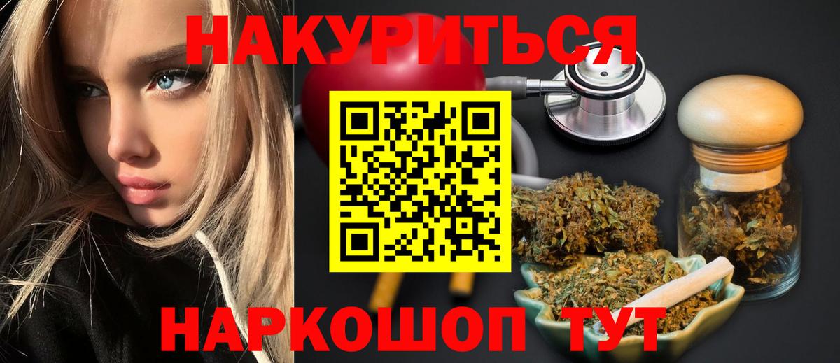Каннабис планчик Губкинский