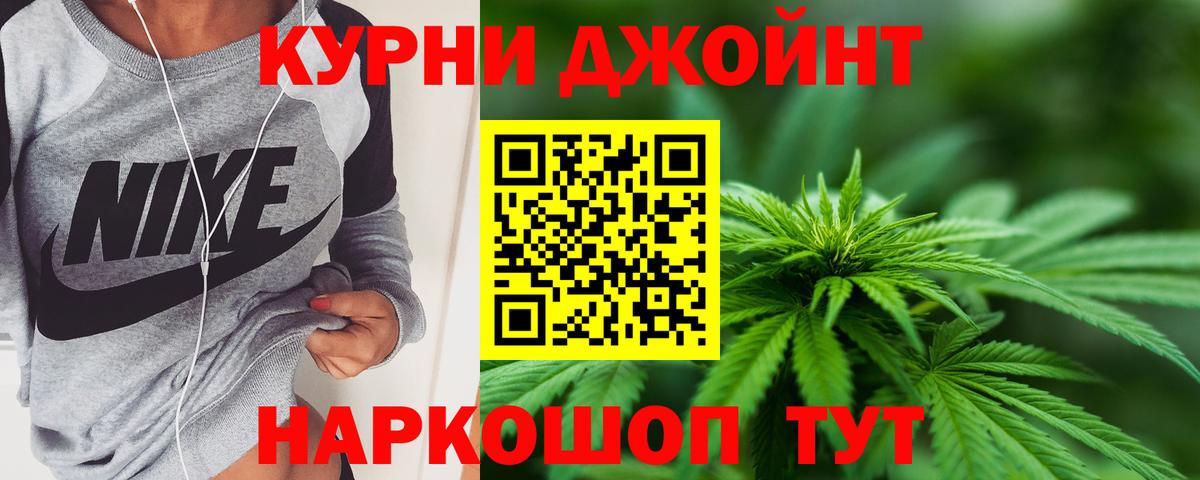 Конопля план  Каннабис конопля  Губкинский  Вход с VPN  Конопля сатива  МАРИХУАНА конопля 