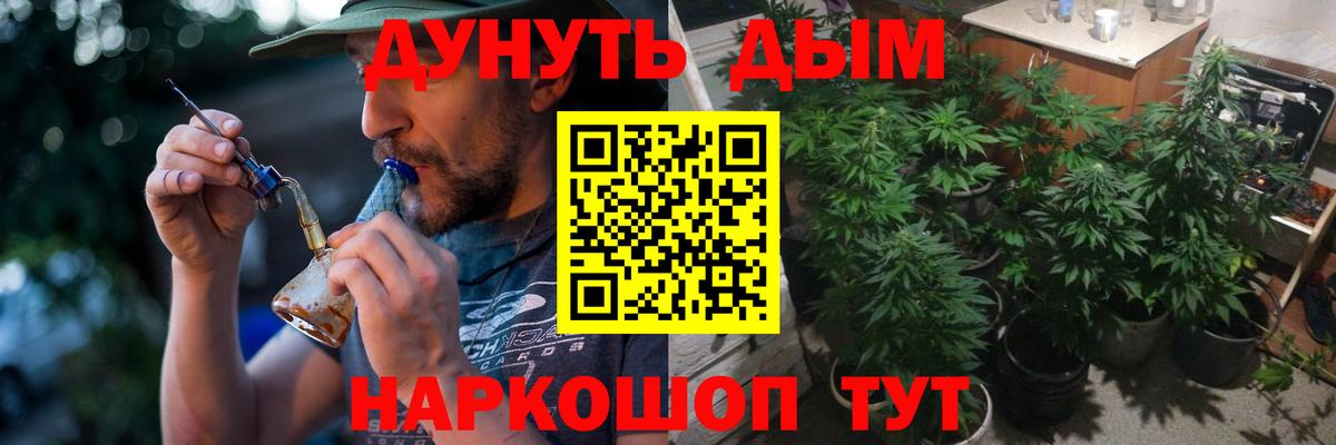 Шишки марихуана марихуана  Канабис сатива  Бошки марихуана индика  Бошки Шишки AK-47  Губкинский 